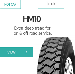 HM06
