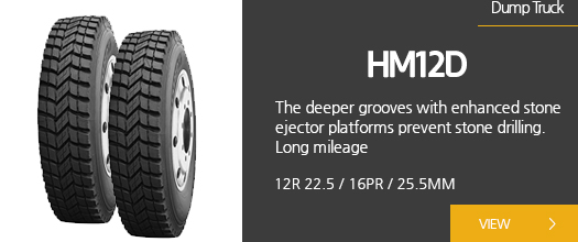 HM12D