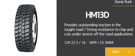 HM13D