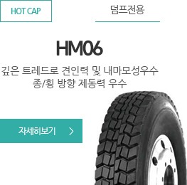 HM06 자세히보기