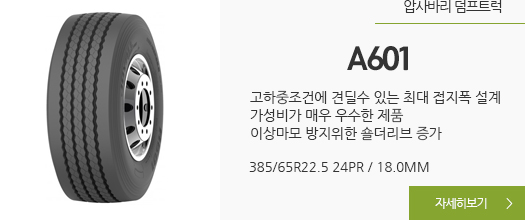 A601 자세히보기